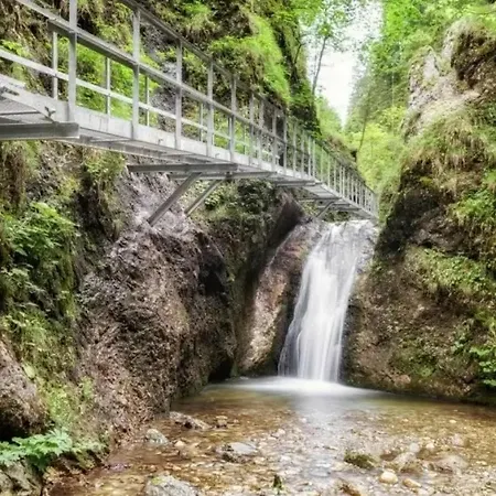 Appartamento Apartmánový Dom *