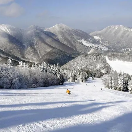 Διαμέρισμα Apartmanovy Dom *