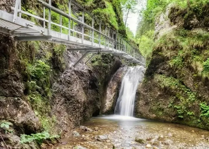 Apartment Apartmanovy Dom *