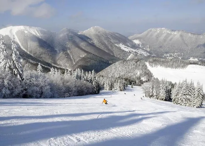 Apartment Apartmanovy Dom *